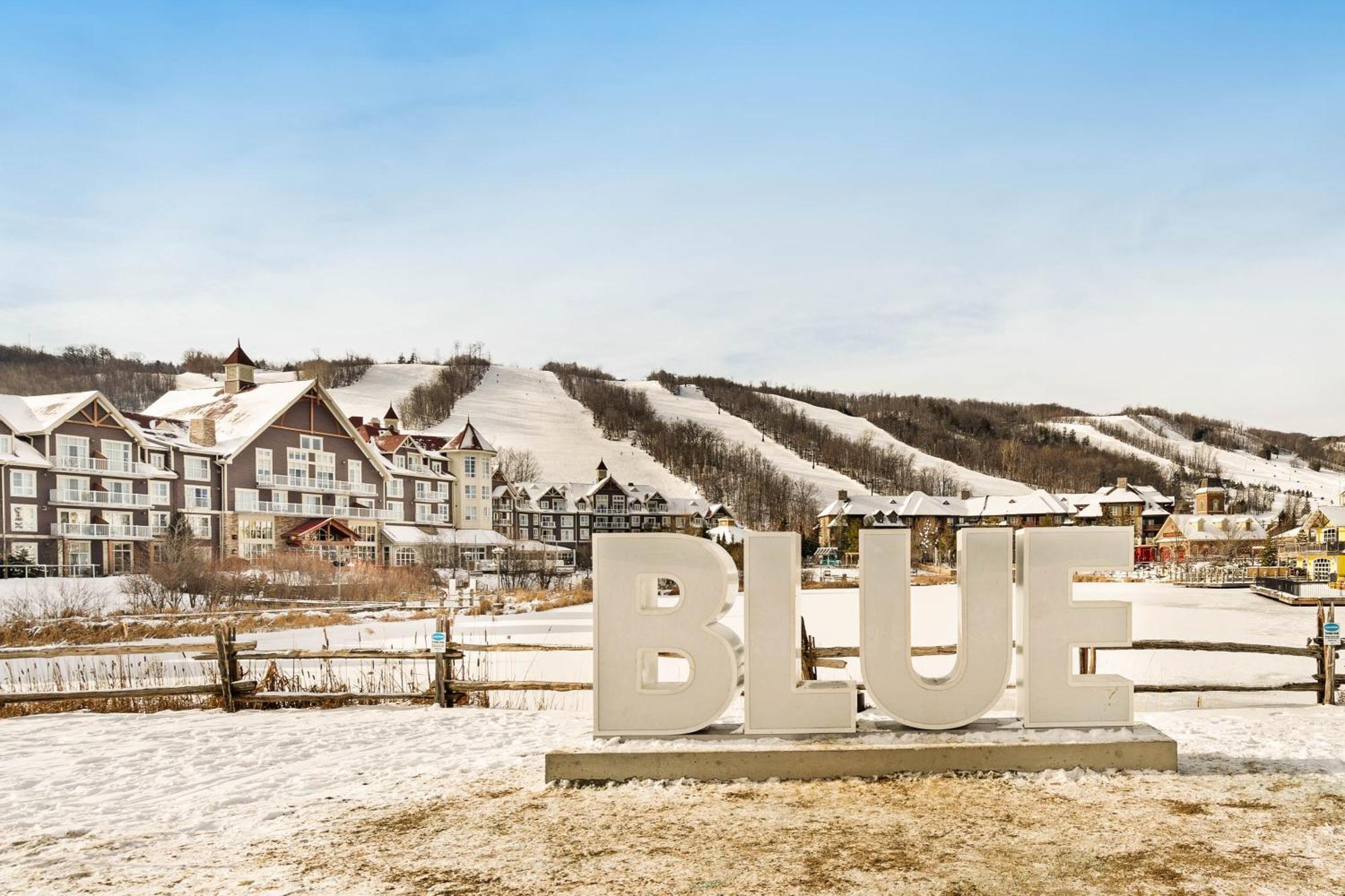 Wintergreen Blue Mountains Buitenkant foto
